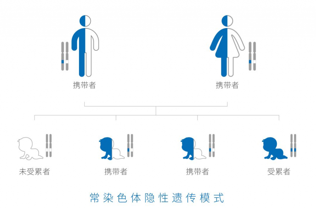 常染色体隐性遗传