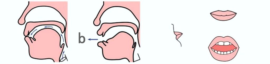 言语训练之b音发音方法